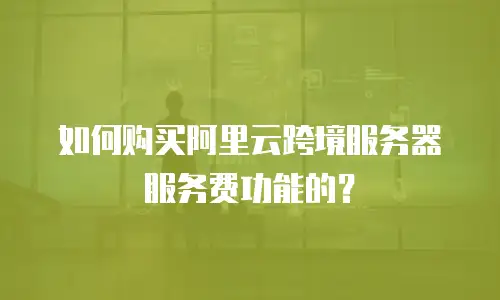如何购买阿里云跨境服务器服务费功能的？