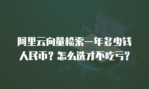 阿里云向量检索一年多少钱人民币？怎么选才不吃亏？