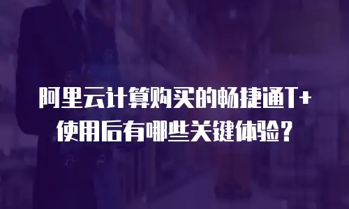 阿里云计算购买的畅捷通T+使用后有哪些关键体验？