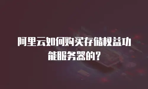 阿里云如何购买存储权益功能服务器的？