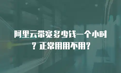 阿里云带宽多少钱一个小时？正常用用不用？