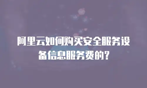 阿里云如何购买安全服务设备信息服务费的？
