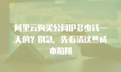 阿里云购买公网IP多少钱一天的？别急，先看清这些成本陷阱
