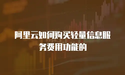 阿里云如何购买轻量信息服务费用功能的