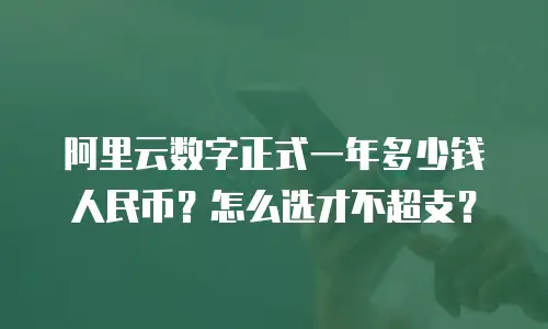 阿里云数字正式一年多少钱人民币？怎么选才不超支？