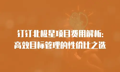 钉钉北极星项目费用解析：高效目标管理的性价比之选