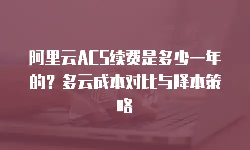 阿里云ACS续费是多少一年的？多云成本对比与降本策略