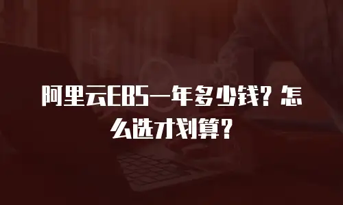 阿里云EBS一年多少钱？怎么选才划算？