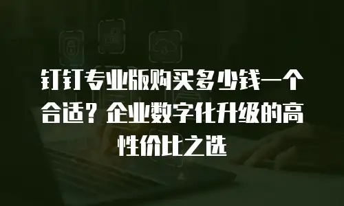钉钉专业版购买多少钱一个合适？企业数字化升级的高性价比之选