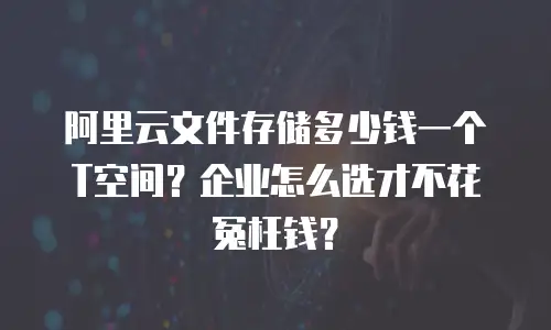 阿里云文件存储多少钱一个T空间？企业怎么选才不花冤枉钱？