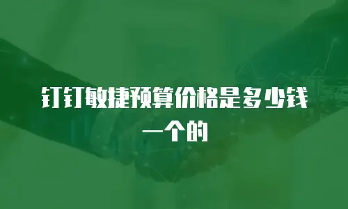 钉钉敏捷预算价格是多少钱一个的