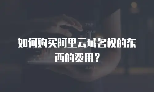 如何购买阿里云域名权的东西的费用？