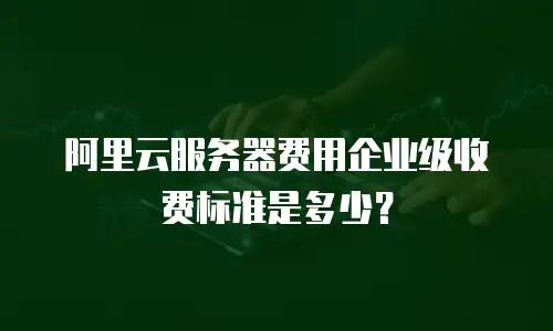 阿里云服务器费用企业级收费标准是多少？
