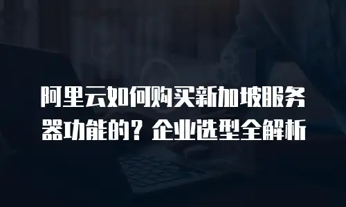 阿里云如何购买新加坡服务器功能的？企业选型全解析