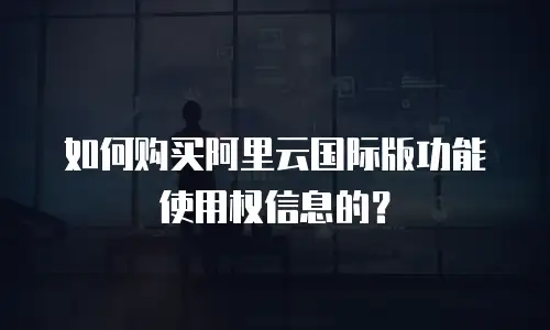 如何购买阿里云国际版功能使用权信息的？
