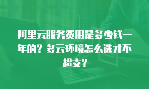 阿里云服务费用是多少钱一年的？多云环境怎么选才不超支？