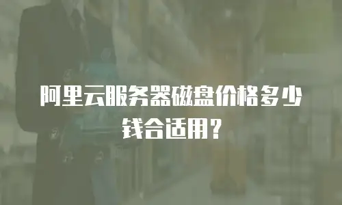 阿里云服务器磁盘价格多少钱合适用？