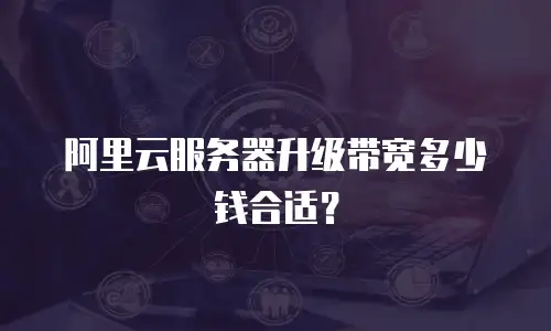 阿里云服务器升级带宽多少钱合适？