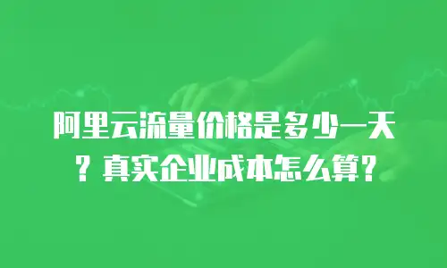 阿里云流量价格是多少一天？真实企业成本怎么算？