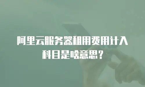阿里云服务器租用费用计入科目是啥意思？