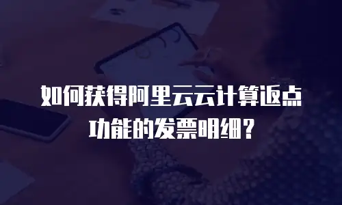 如何获得阿里云云计算返点功能的发票明细？