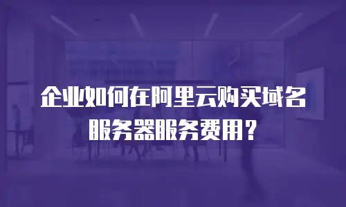 企业如何在阿里云购买域名服务器服务费用？