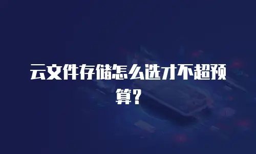 云文件存储怎么选才不超预算？