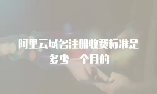 阿里云域名注册收费标准是多少一个月的
