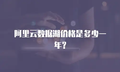 阿里云数据湖价格是多少一年？