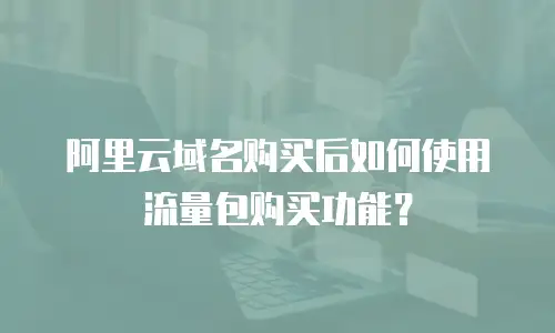 阿里云域名购买后如何使用流量包购买功能？
