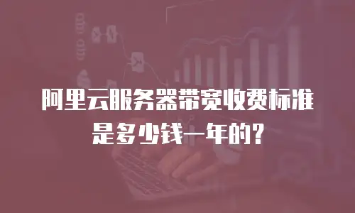 阿里云服务器带宽收费标准是多少钱一年的？