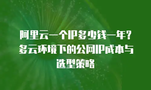 阿里云一个IP多少钱一年？多云环境下的公网IP成本与选型策略