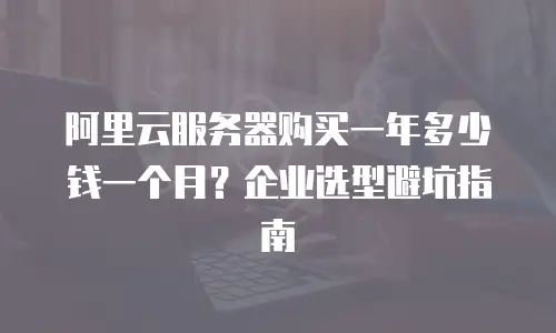 阿里云服务器购买一年多少钱一个月？企业选型避坑指南
