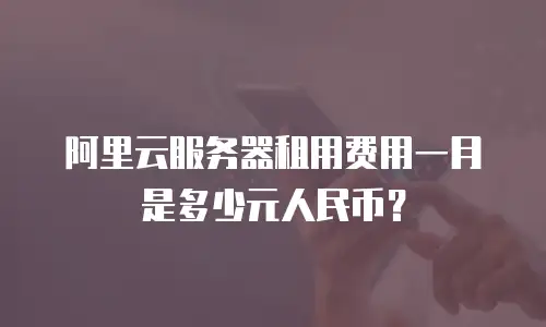 阿里云服务器租用费用一月是多少元人民币？