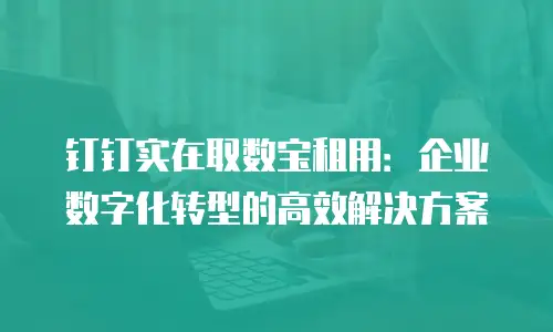钉钉实在取数宝租用：企业数字化转型的高效解决方案
