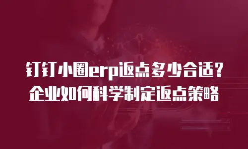 钉钉小圈erp返点多少合适？企业如何科学制定返点策略