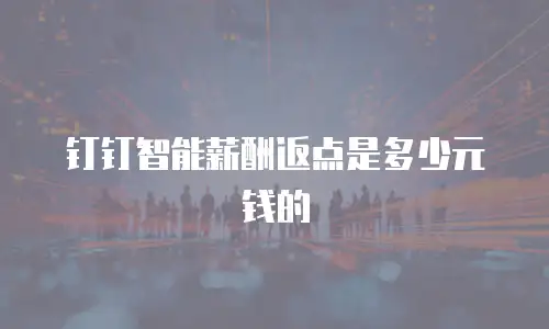 钉钉智能薪酬返点是多少元钱的