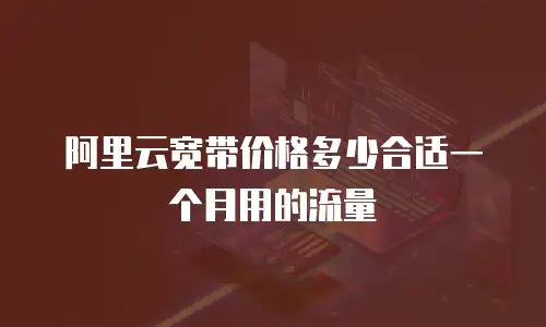 阿里云宽带价格多少合适一个月用的流量
