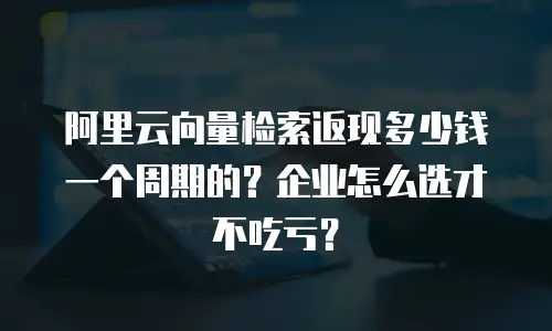 阿里云向量检索返现多少钱一个周期的？企业怎么选才不吃亏？