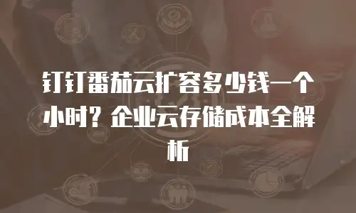 钉钉番茄云扩容多少钱一个小时？企业云存储成本全解析