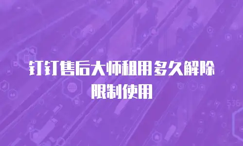 钉钉售后大师租用多久解除限制使用