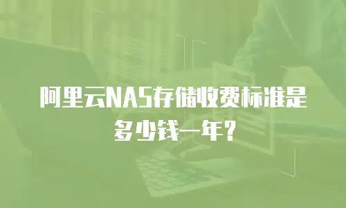 阿里云NAS存储收费标准是多少钱一年？