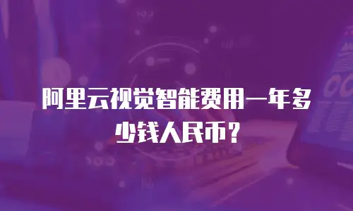 阿里云视觉智能费用一年多少钱人民币？