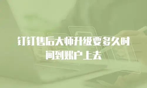 钉钉售后大师升级要多久时间到账户上去