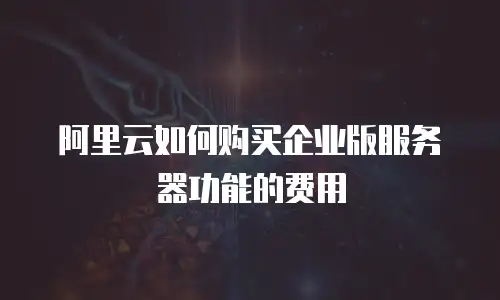 阿里云如何购买企业版服务器功能的费用
