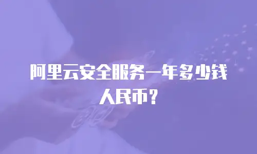 阿里云安全服务一年多少钱人民币？