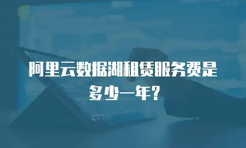 阿里云数据湖租赁服务费是多少一年？