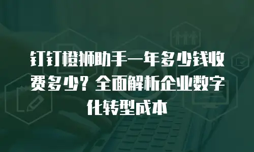 钉钉橙狮助手一年多少钱收费多少？全面解析企业数字化转型成本
