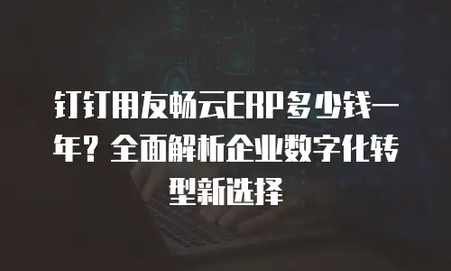 钉钉用友畅云ERP多少钱一年？全面解析企业数字化转型新选择