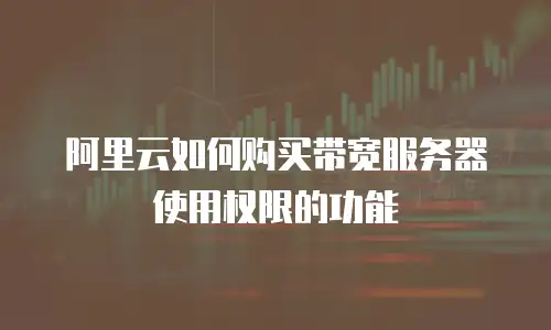 阿里云如何购买带宽服务器使用权限的功能
